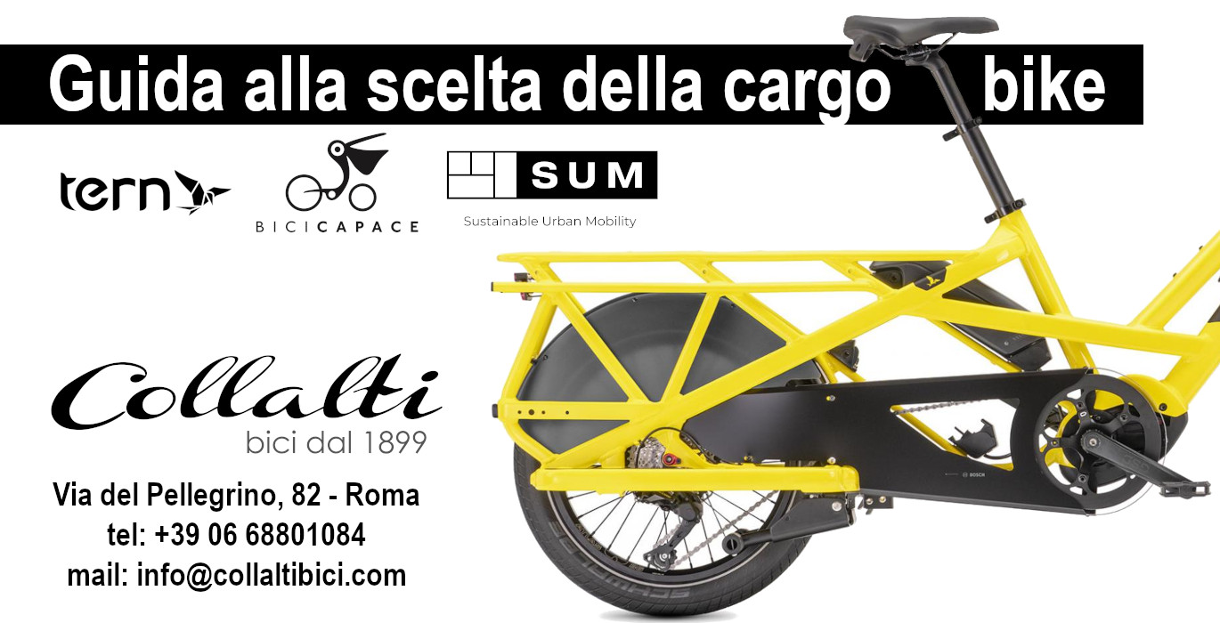 Guida alla scelta della cargo bike